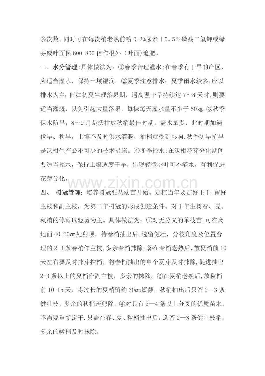 沃柑幼树栽培管理技术.doc_第2页