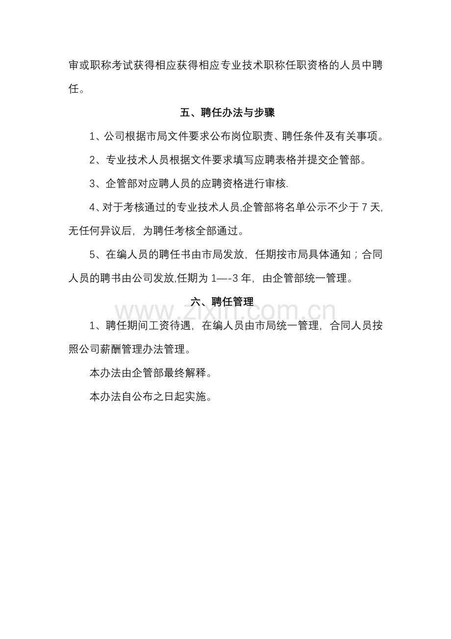 职称聘任管理办法.doc_第2页