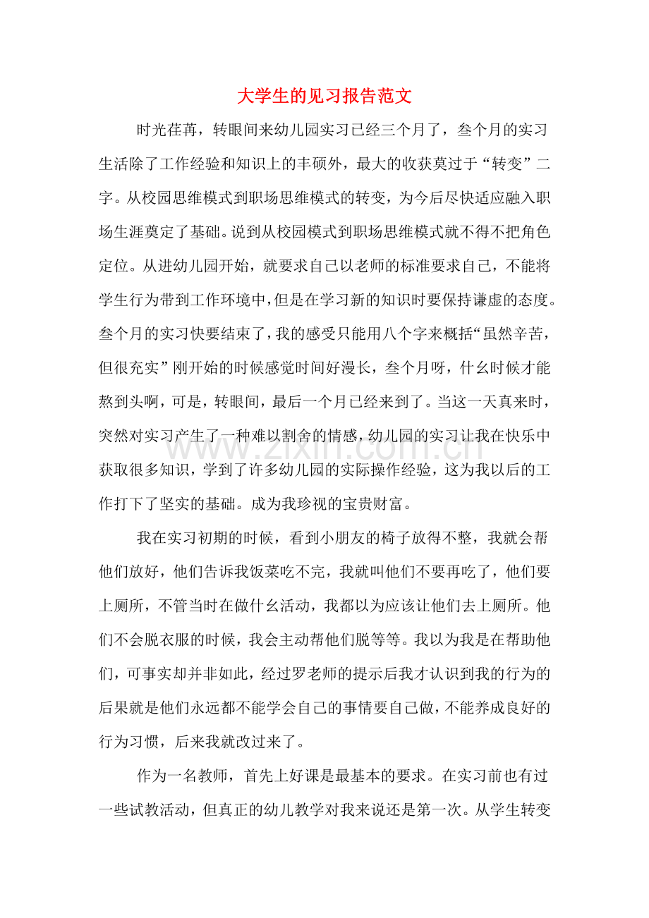 大学生的见习报告范文.doc_第1页