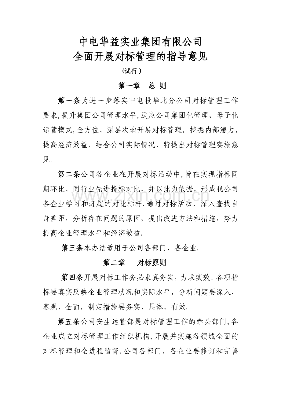 中电华益对标管理办法.doc_第1页