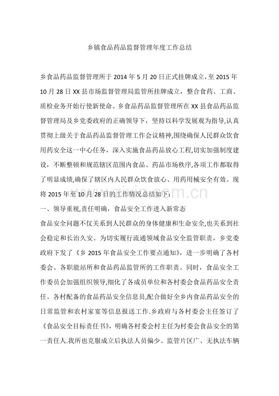 乡镇食品药品监督管理年度工作总结.docx_第1页