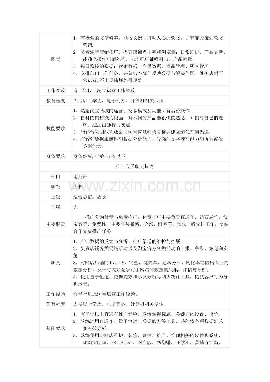 电子商务岗位职责说明书.doc_第2页