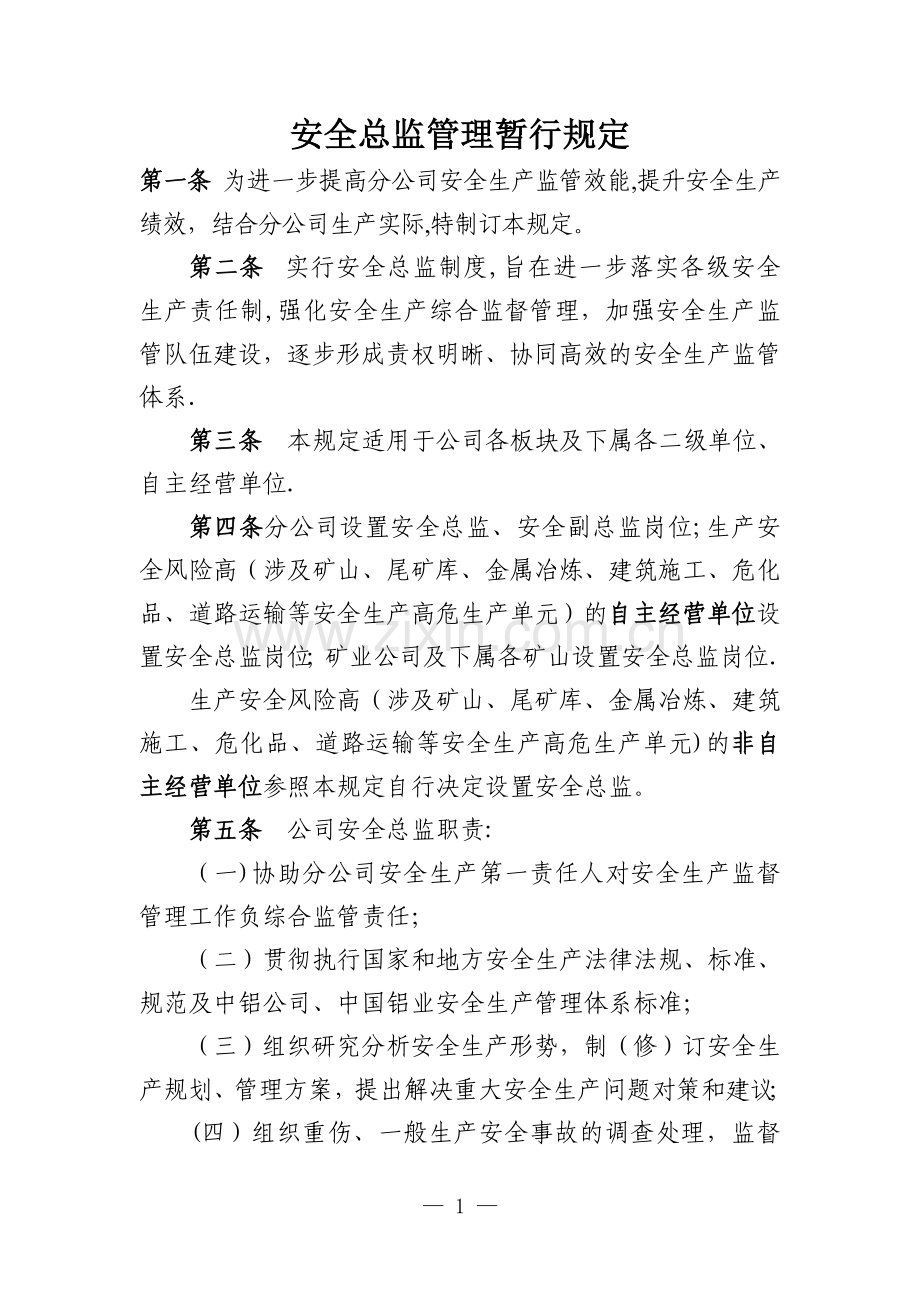 安全总监管理规定.doc_第1页
