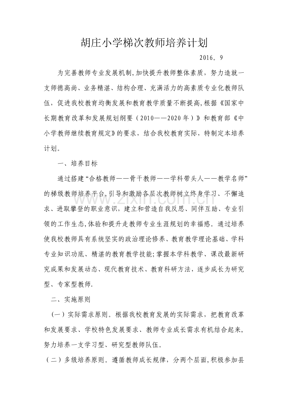 梯级教师培养计划.doc_第1页