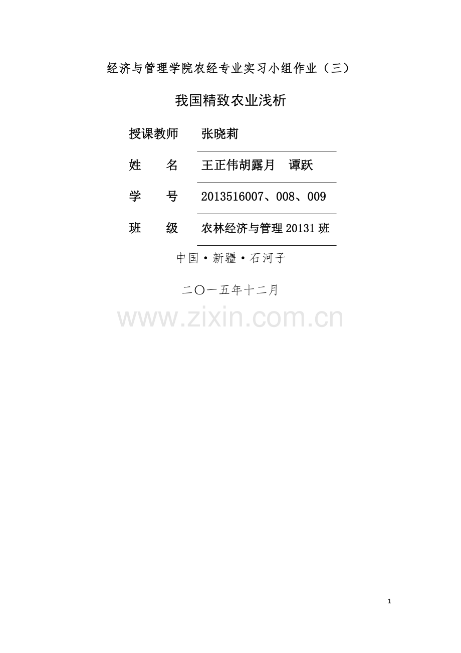 我国精致农业浅析.doc_第1页
