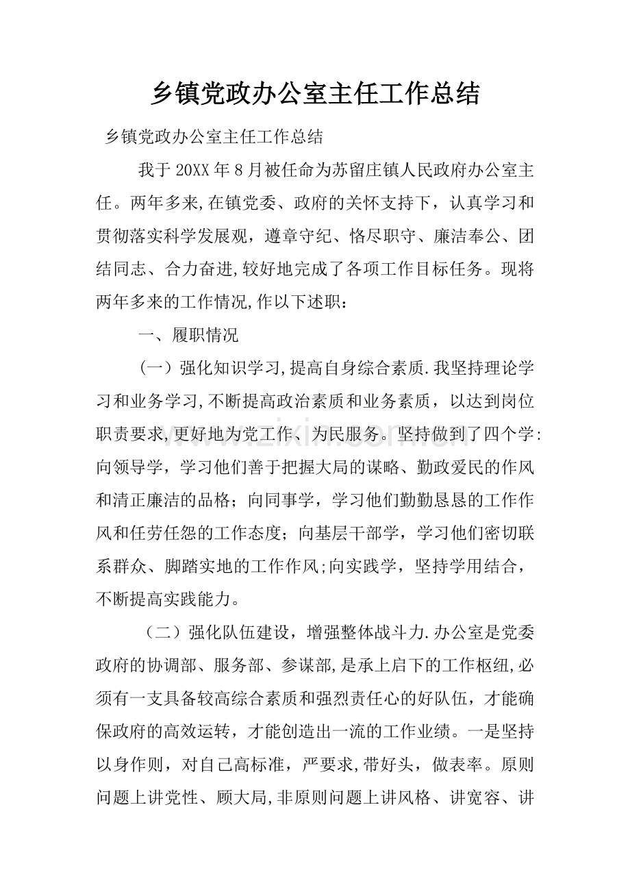 乡镇党政办公室主任工作总结.docx_第1页
