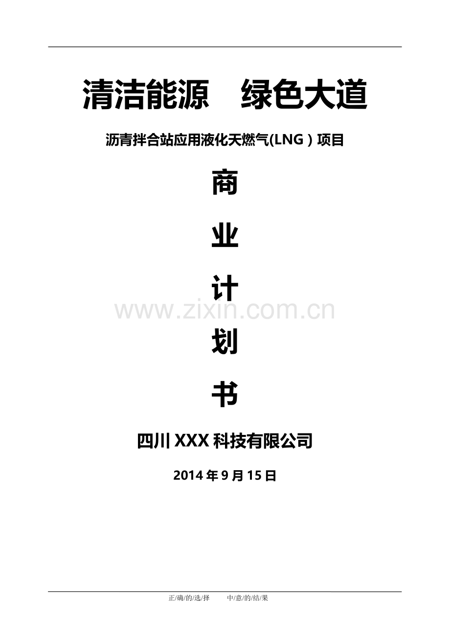 清洁能源商业计划书.doc_第1页