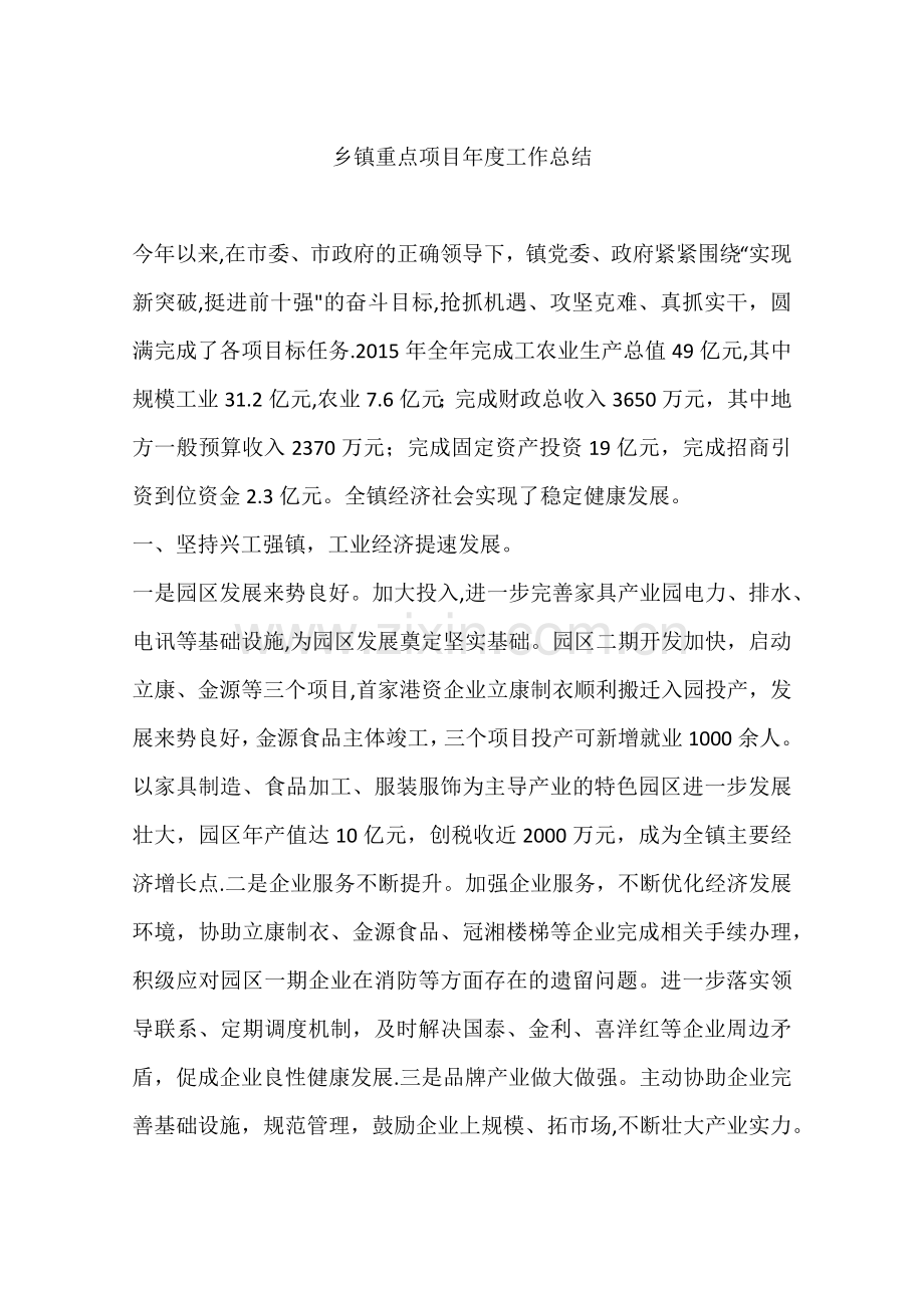 乡镇重点项目年度工作总结.docx_第1页