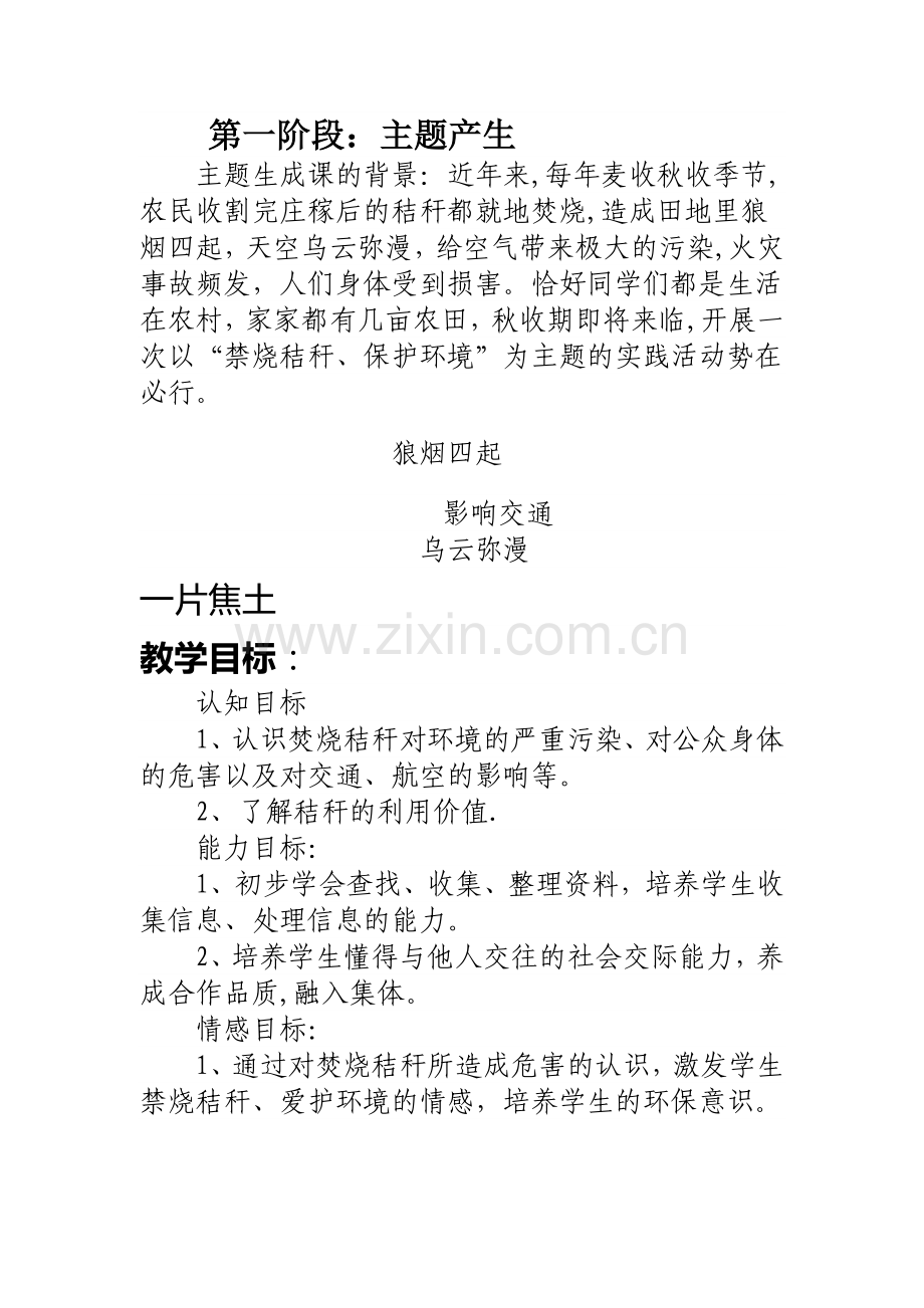 社会实践活动教案.doc_第1页