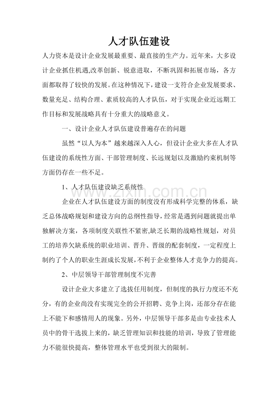 人才队伍建设方案.doc_第1页