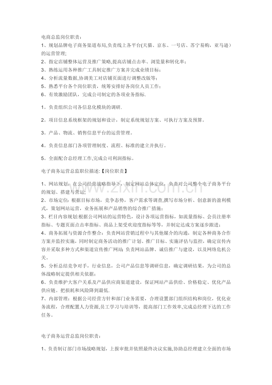 电商总监岗位职责资料.doc_第1页