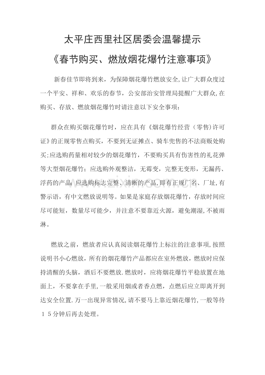 安全燃放烟花爆竹几大注意事项.doc_第1页