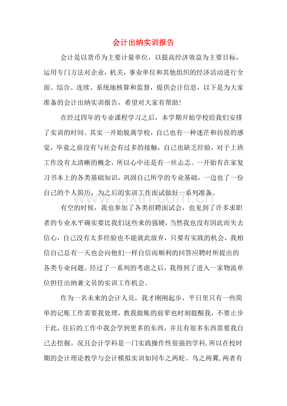 2020年会计出纳实训报告.doc_第1页