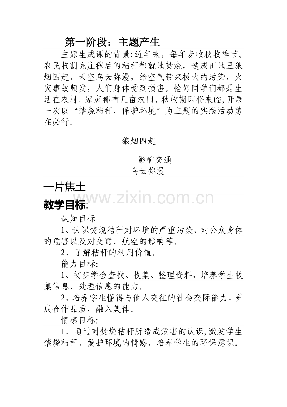 社会实践活动教案.docx_第1页
