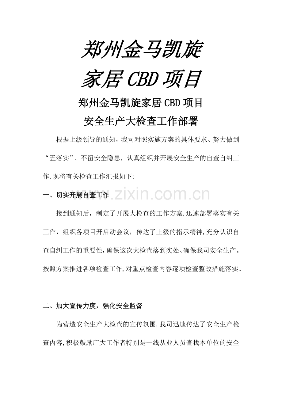 安全生产大检查工作部署情况.doc_第1页