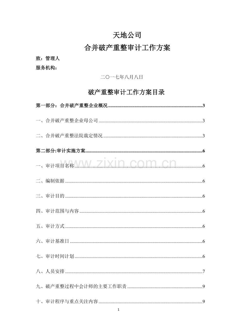 破产重整审计工作方案--萧峰大侠青.doc_第1页