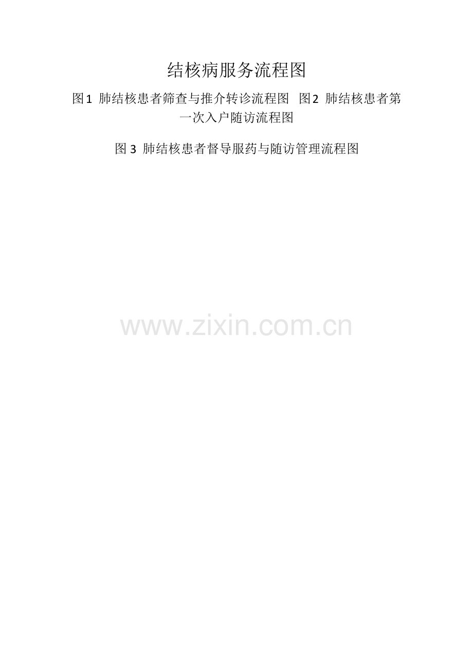 结核病服务流程图.doc_第1页