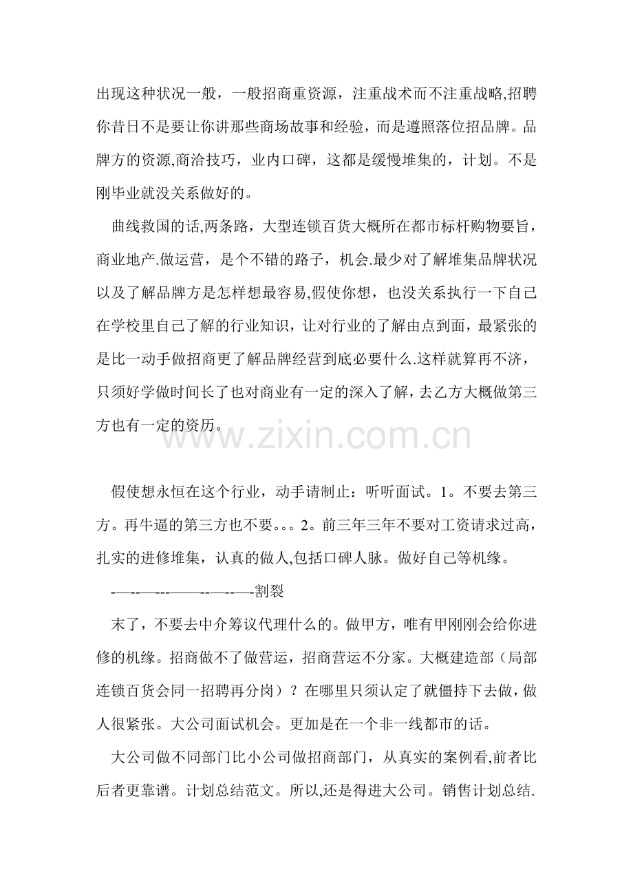 今年大四-只想从事商业地产招商工作--招商年度工作计划-大公司.doc_第2页
