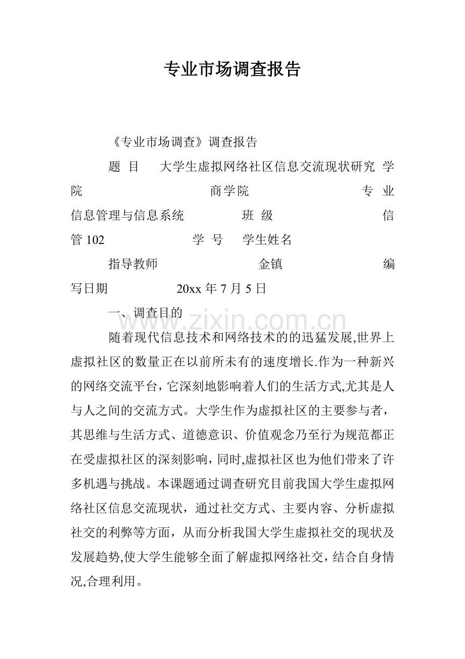 专业市场调查报告.doc_第1页
