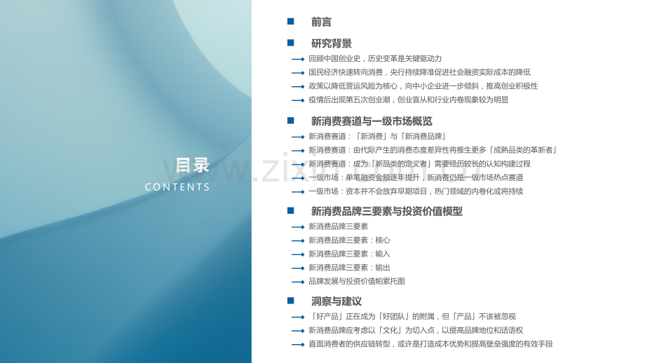 内卷时代的突围之新消费品牌三要素与投资价值模型.pdf_第2页