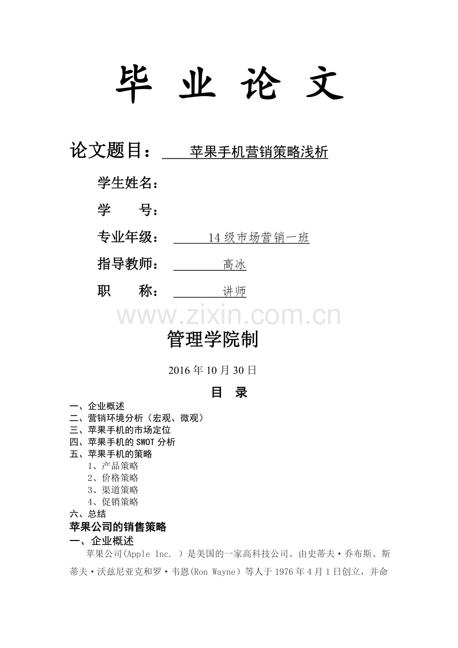 苹果手机营销策略浅析.doc_第1页