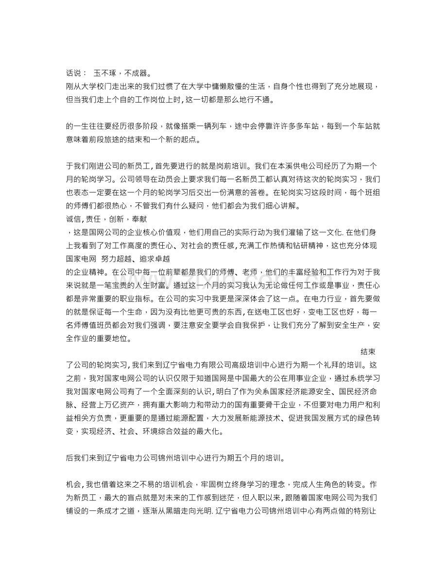 电工试用期转正申请书.doc_第2页
