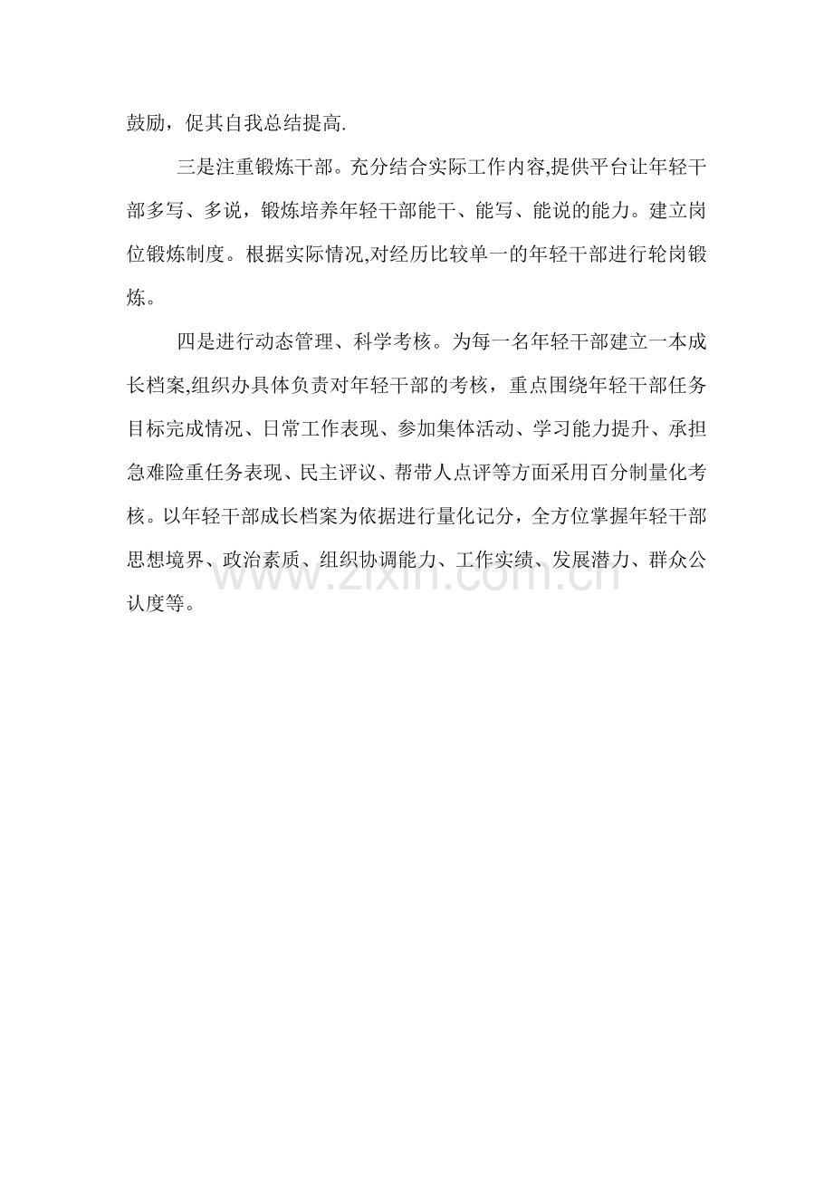 年轻干部培养工作方案.doc_第2页