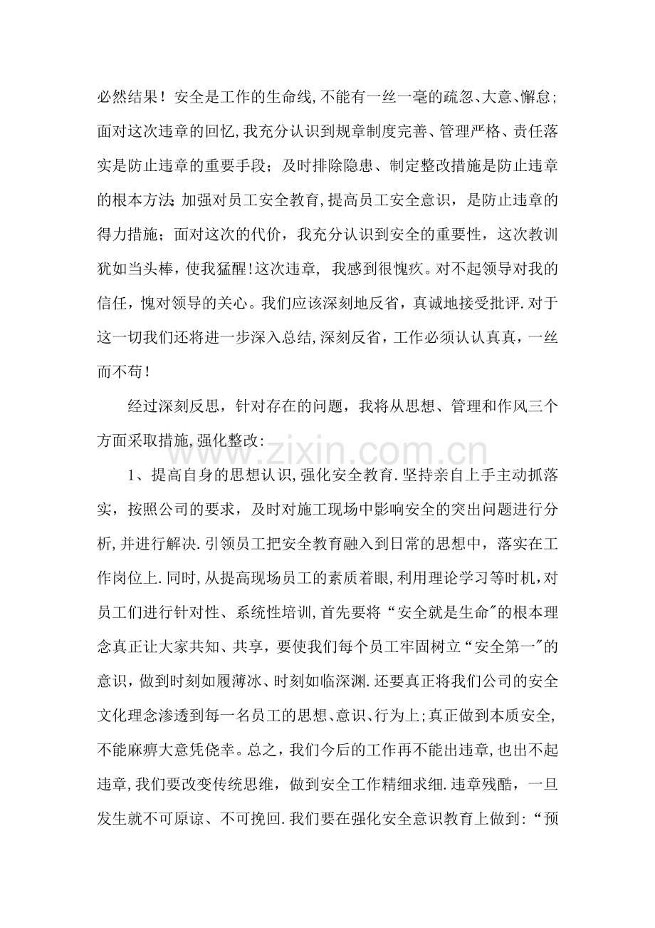 安全工作检讨书.doc_第2页