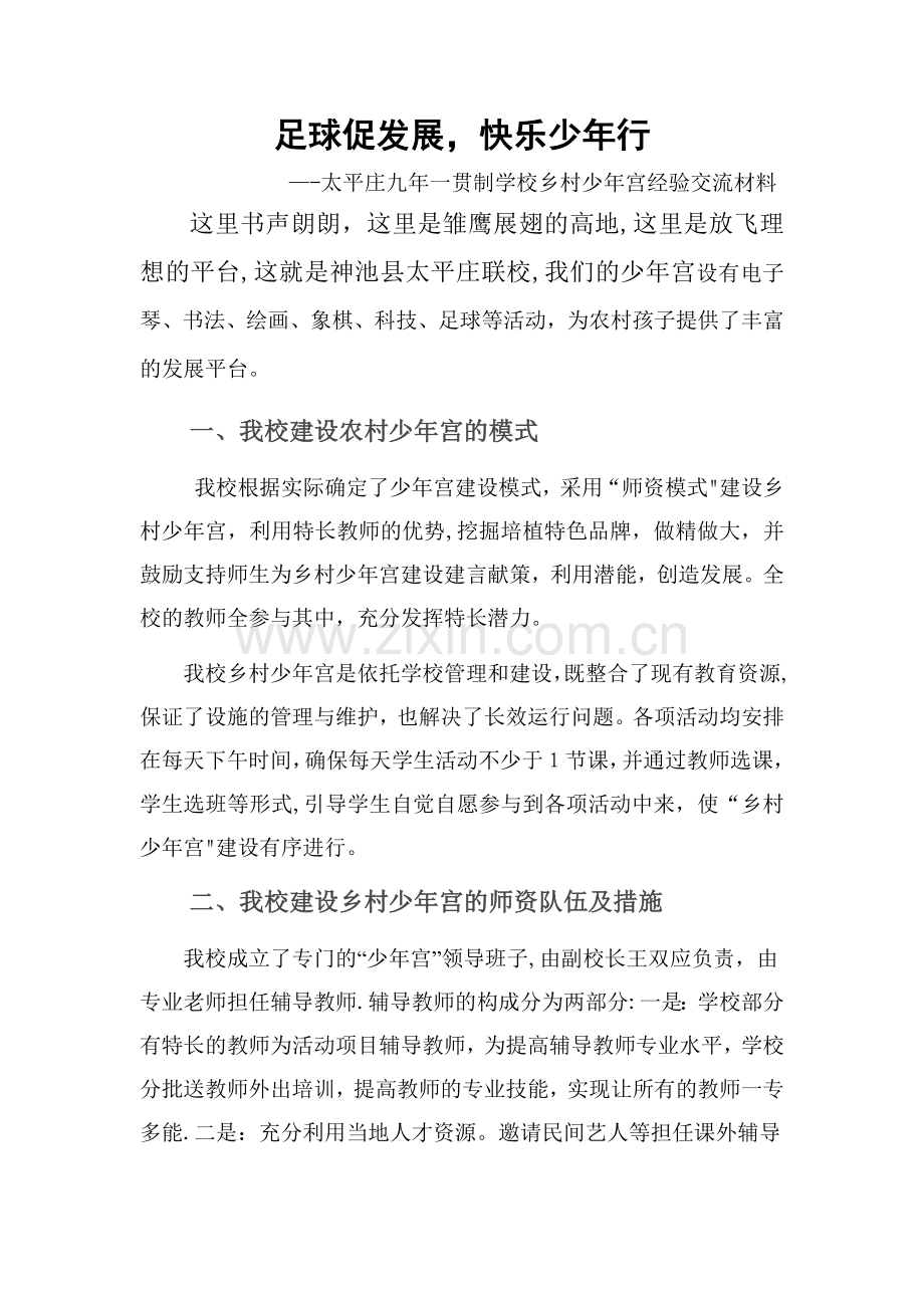 乡村少年宫经验交流材料.doc_第1页