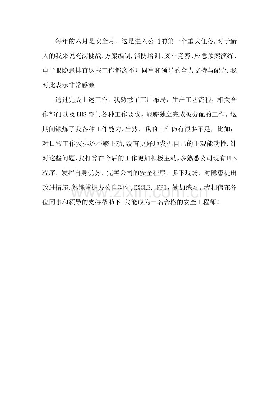 安全工程师试用期小结.doc_第2页