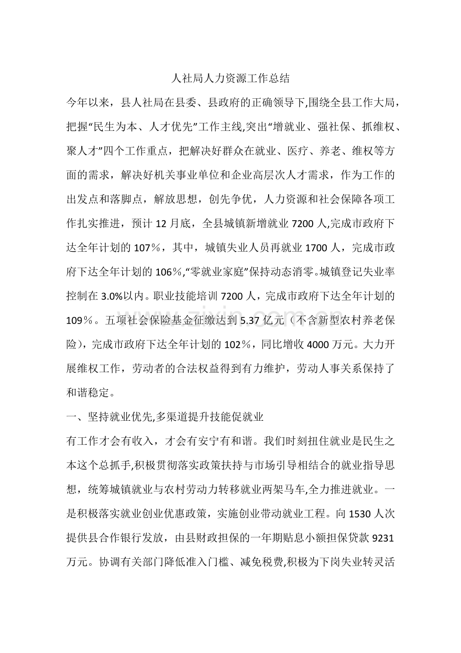 人社局人力资源工作总结.docx_第1页