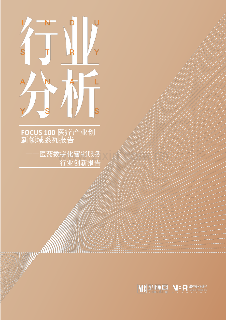 医药数字化营销服务.pdf_第1页
