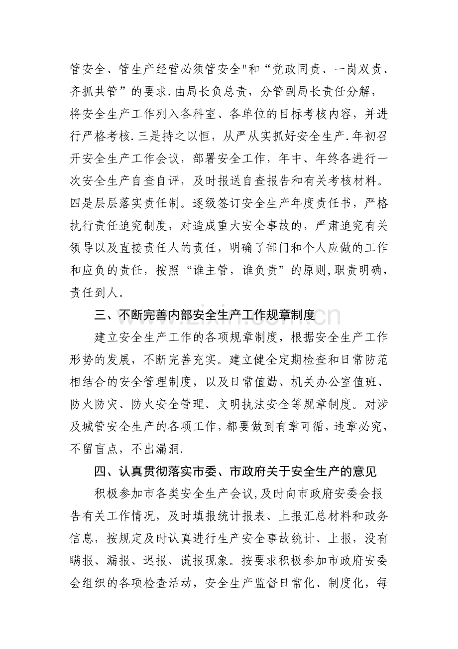 安全生产工作自评报告.doc_第2页