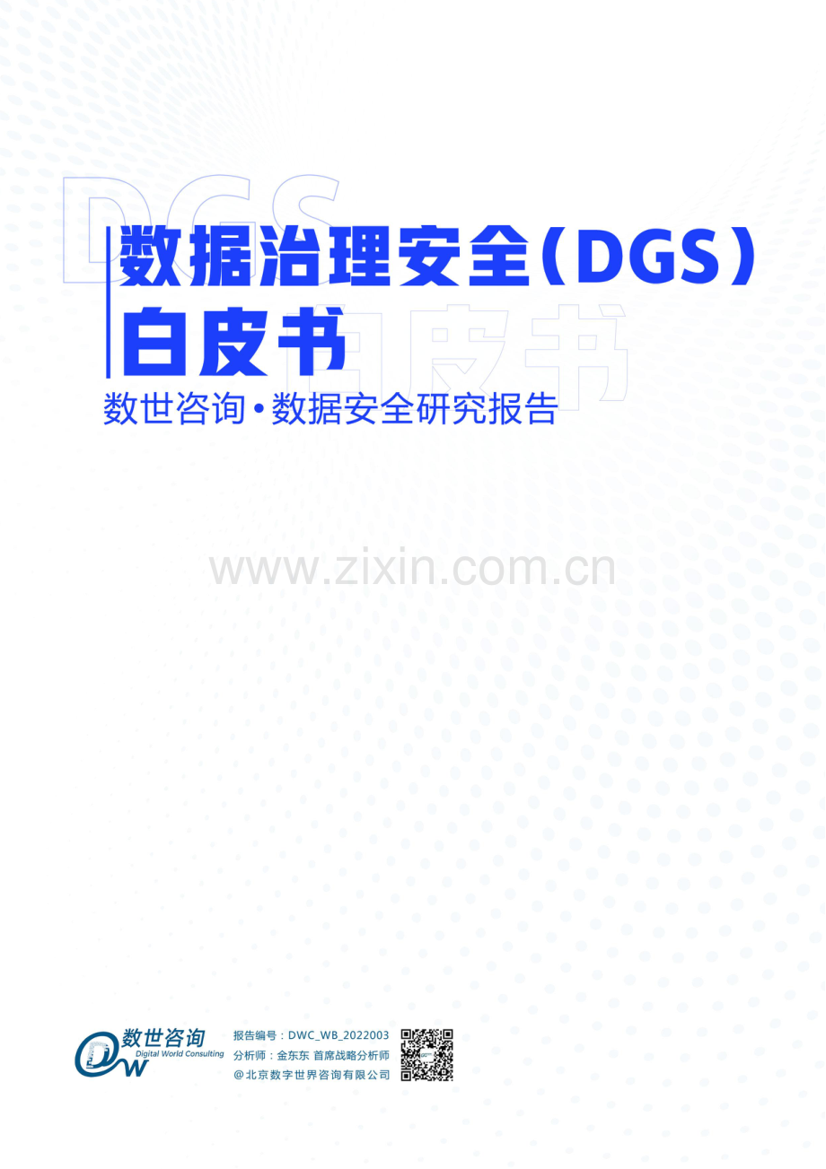 数据治理安全（DGS）白皮书.pdf_第1页