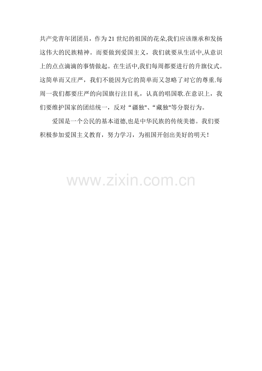 爱国主义团日活动总结.doc_第2页