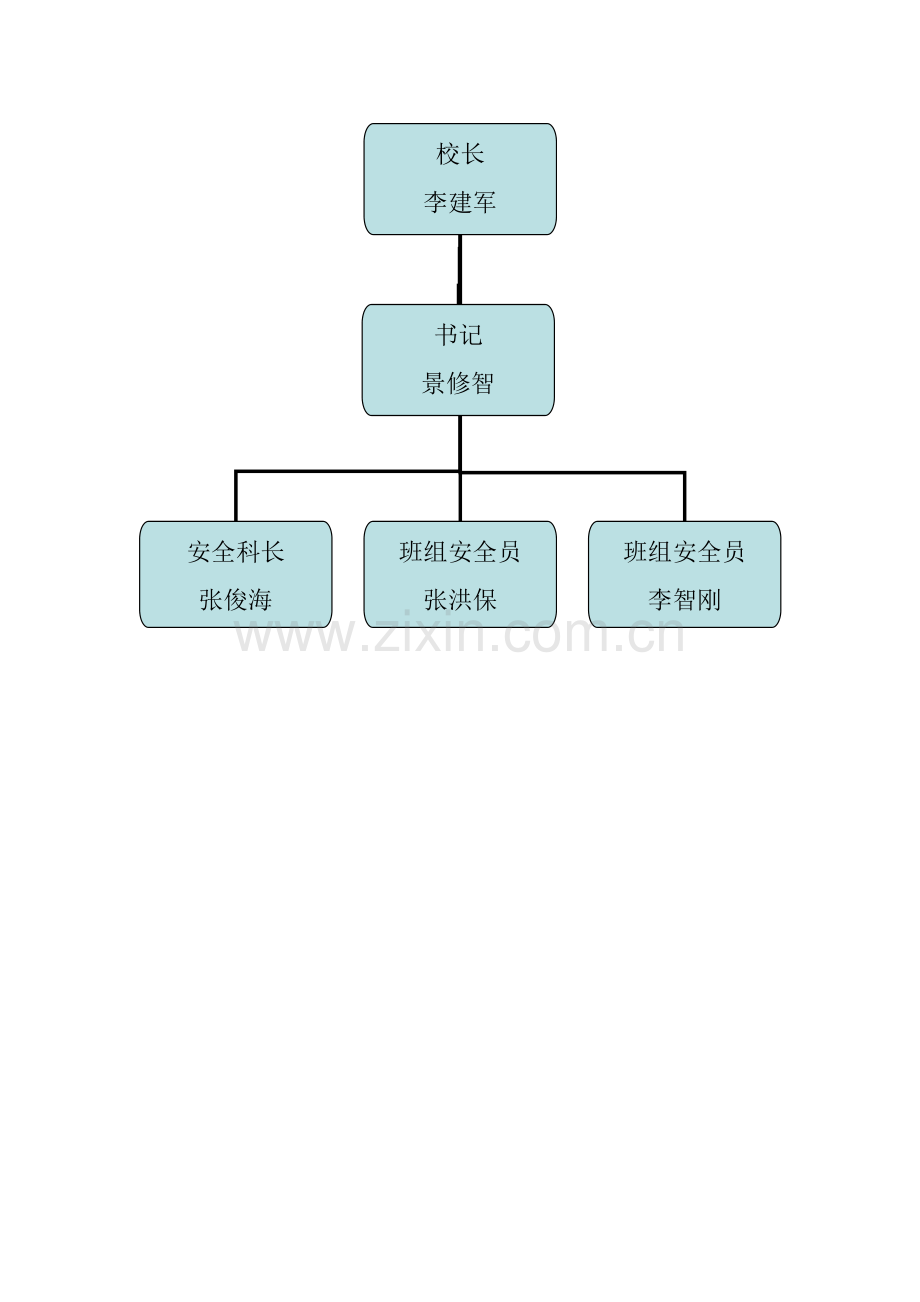安全领导小组组织机构图.doc_第2页