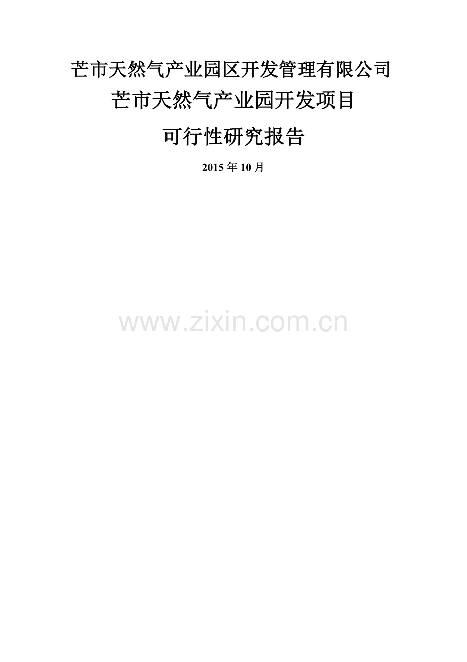 芒市天然气产业园开发项目PPP可行性研究报告.doc_第1页