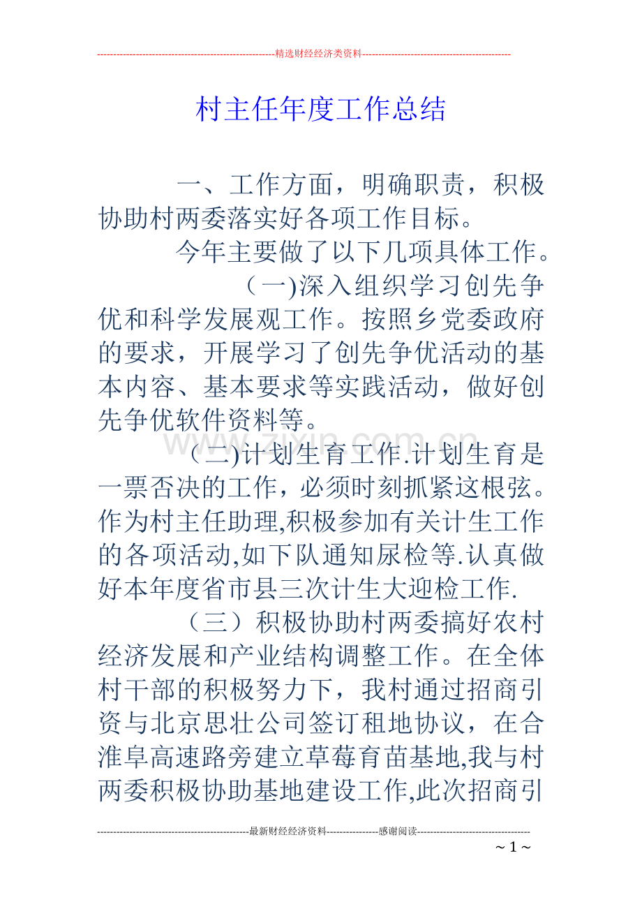 村主任年度工作总结.doc_第1页