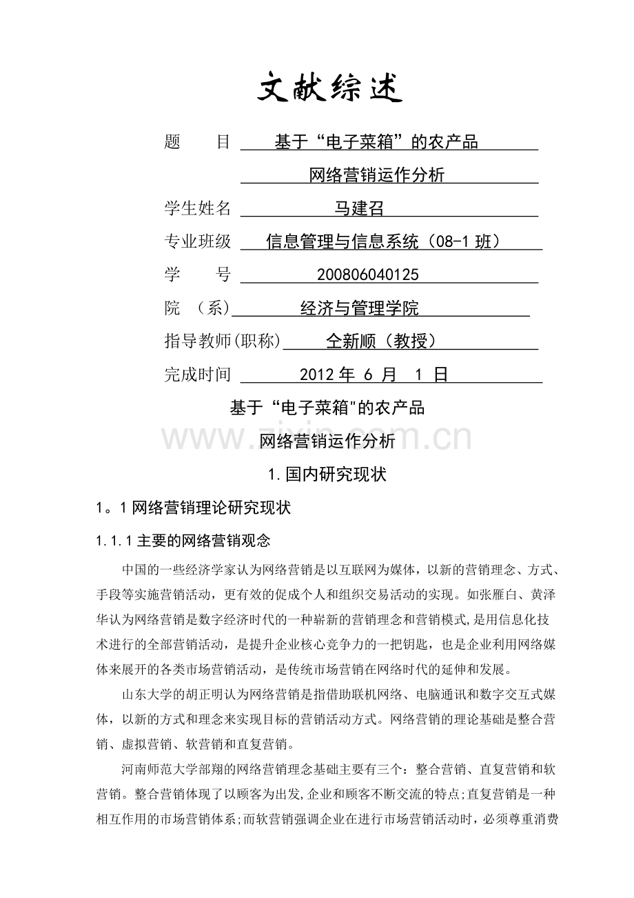 网络营销文献综述.doc_第1页
