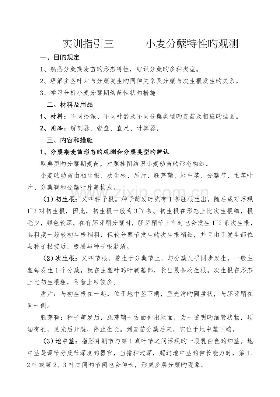 实训指导四----小麦分蘖特性的观察.doc_第1页