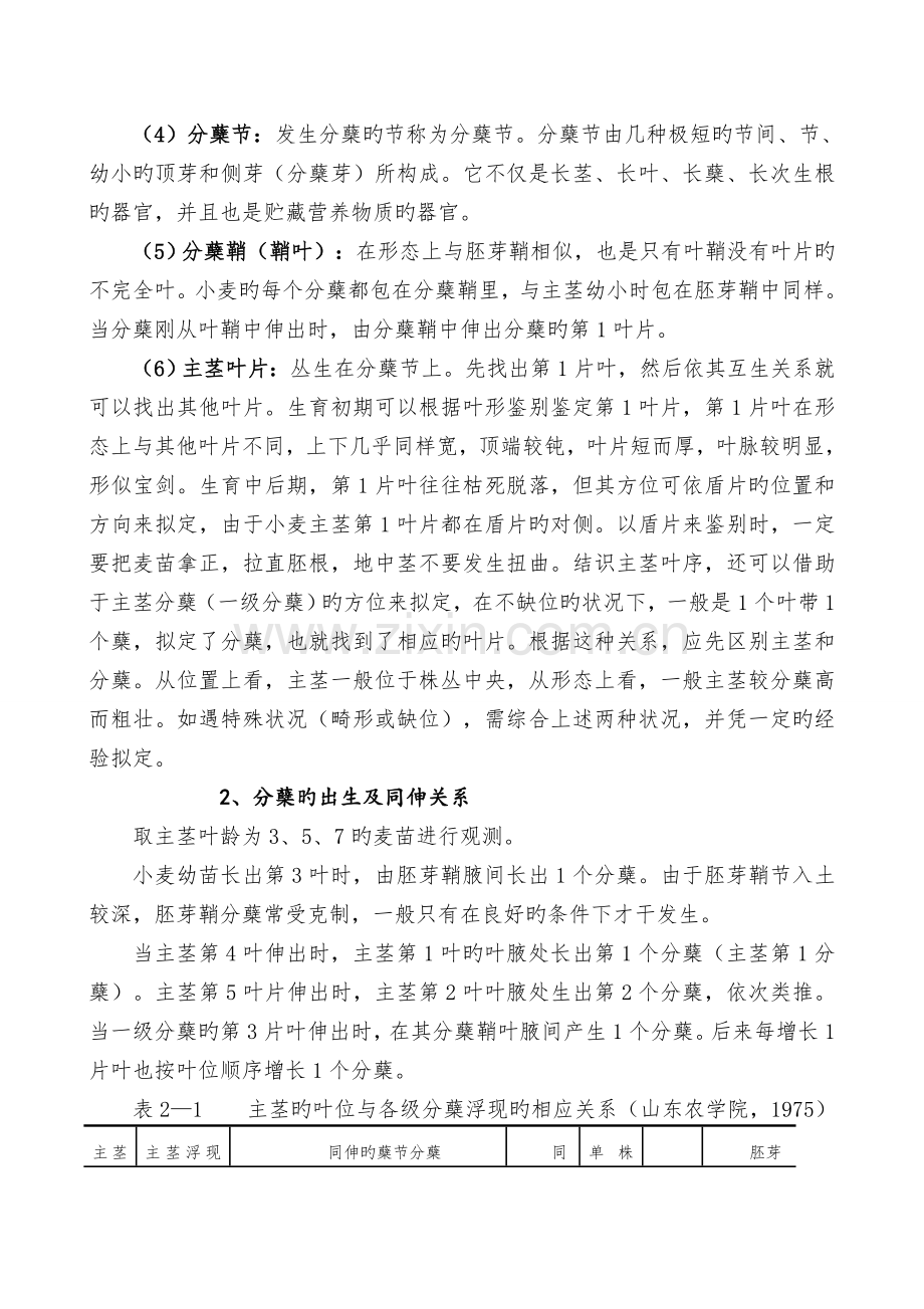 实训指导四----小麦分蘖特性的观察.doc_第2页
