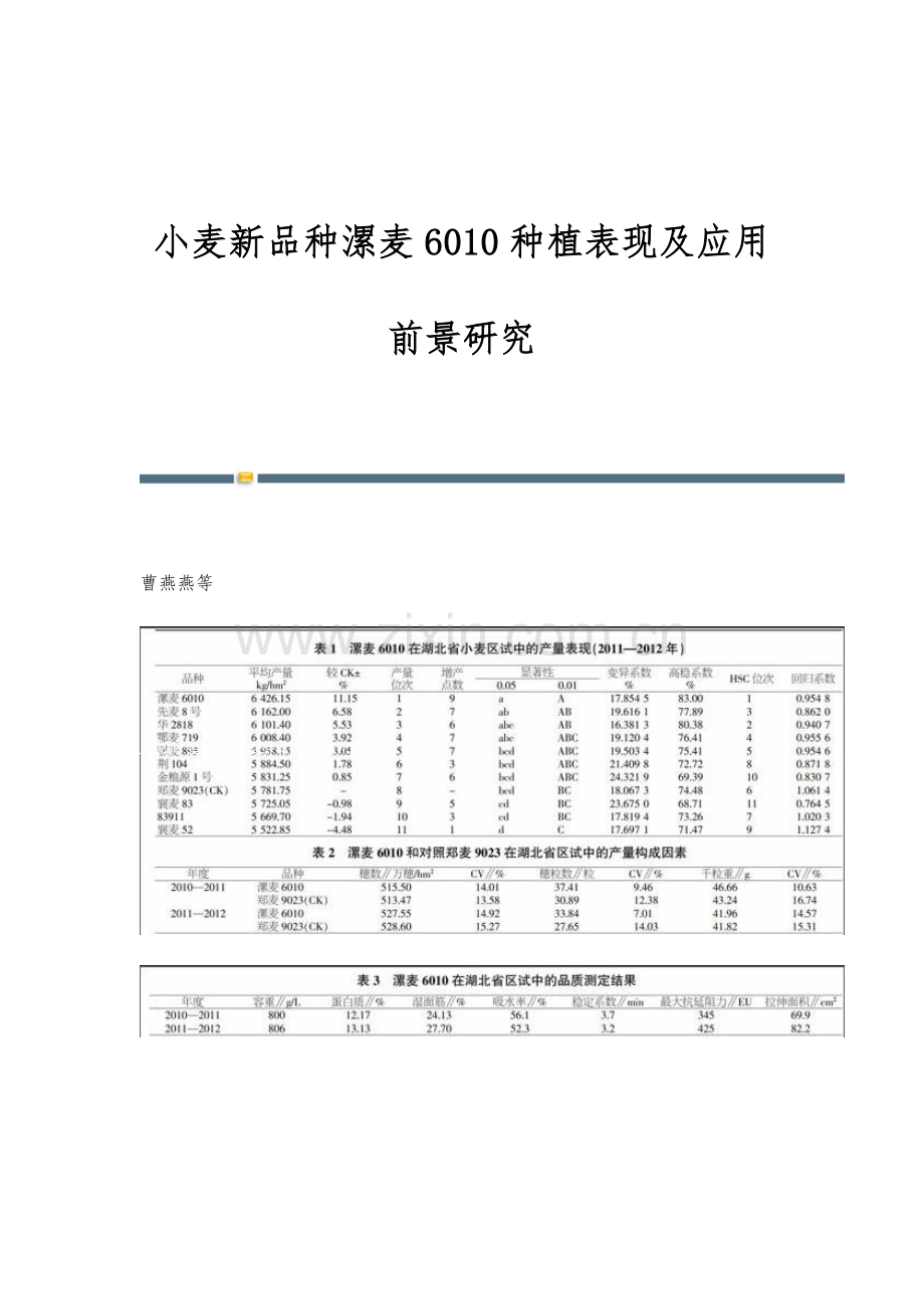 小麦新品种漯麦6010种植表现及应用前景研究.docx_第1页