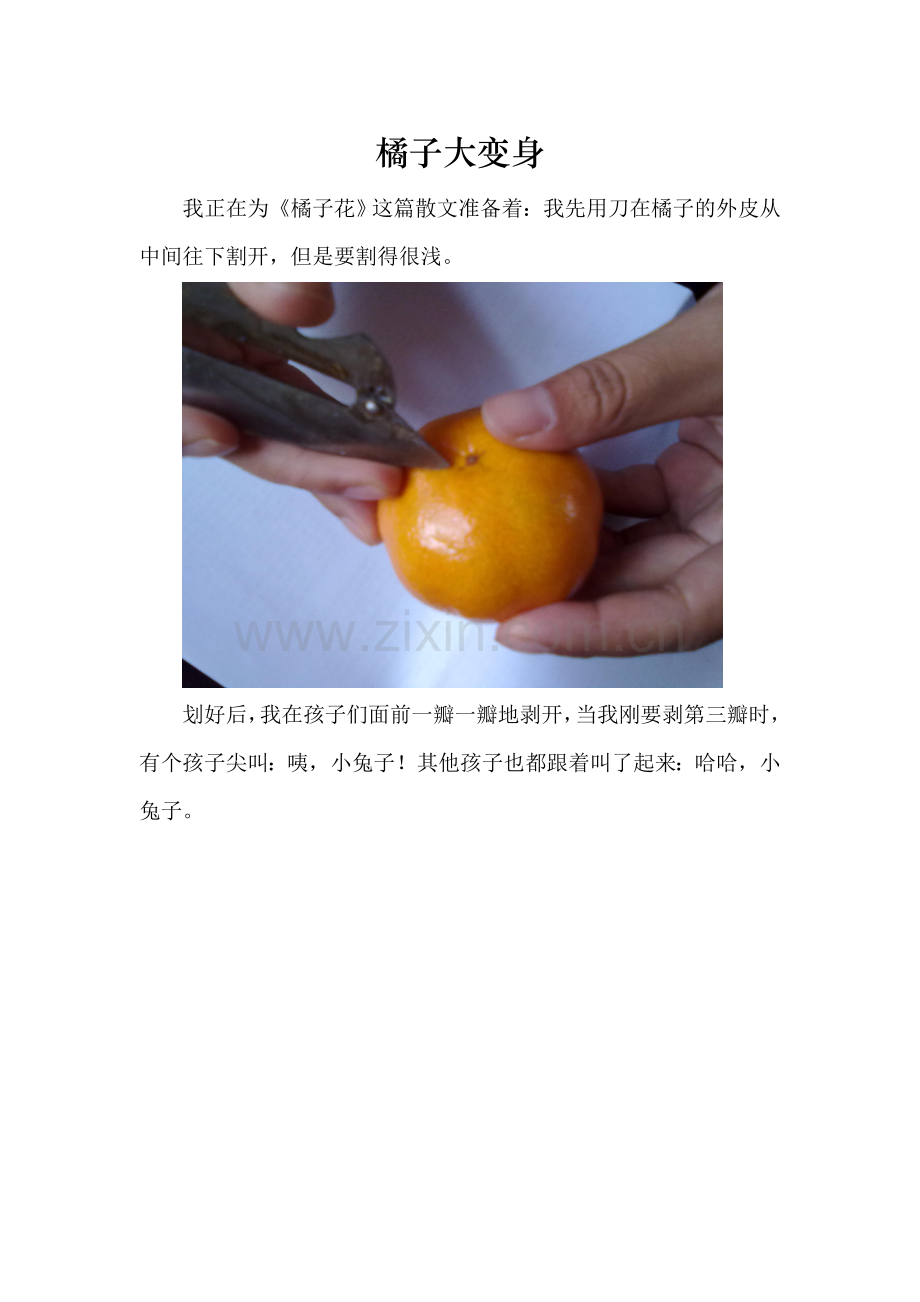 幼儿园教学经验分享橘子大变身.doc_第1页
