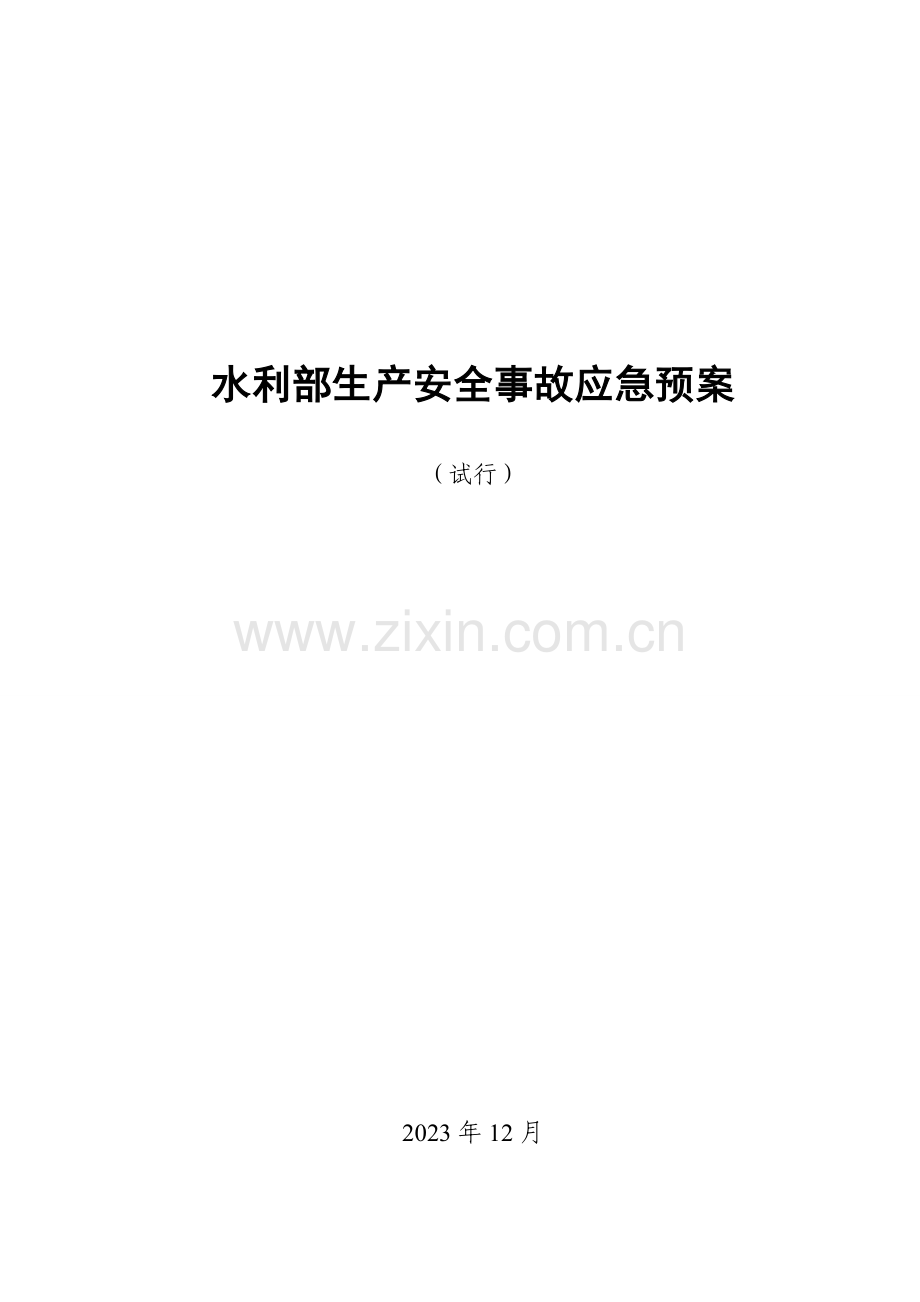 水利安全生产事故应急预案模板.doc_第1页