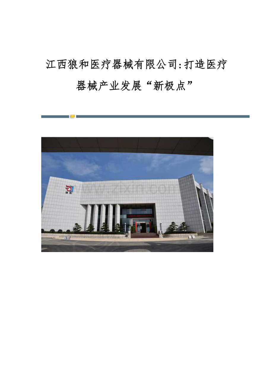 江西狼和医疗器械有限公司-打造医疗器械产业发展新极点.docx_第1页