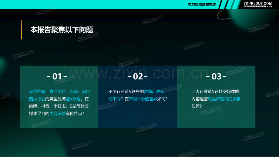 四大行业品牌蓝V运营盘点报.pdf_第2页