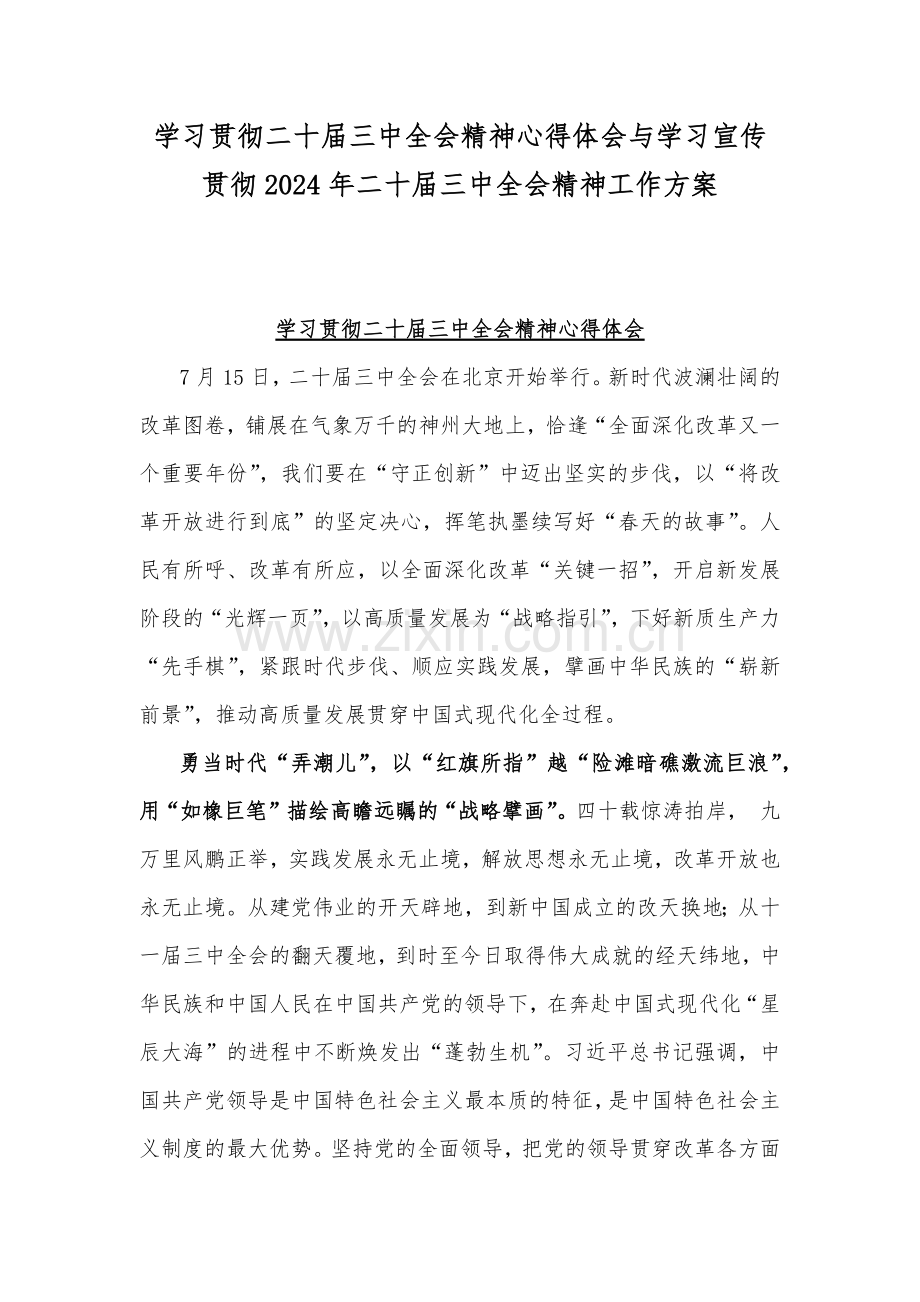 学习贯彻二十届三中全会精神心得体会与学习宣传贯彻2024年二十届三中全会精神工作方案.docx_第1页