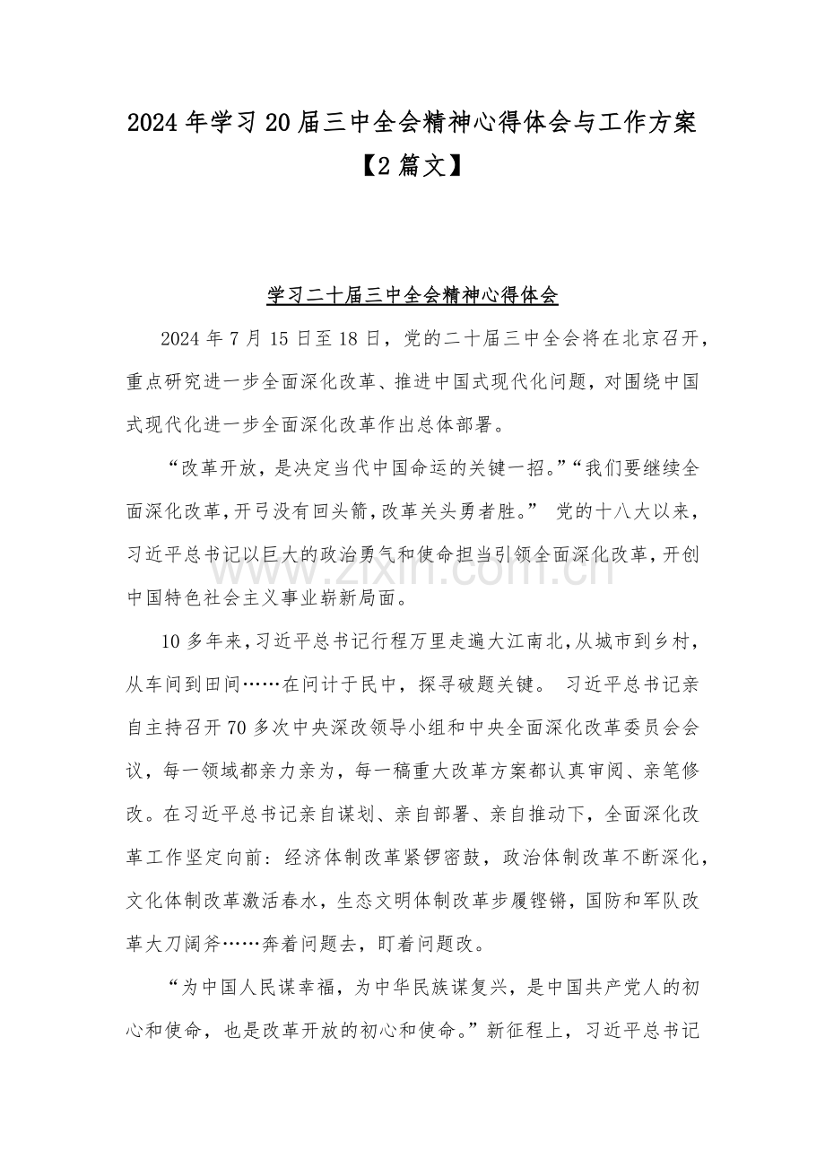 2024年学习20届三中全会精神心得体会与工作方案【2篇文】.docx_第1页