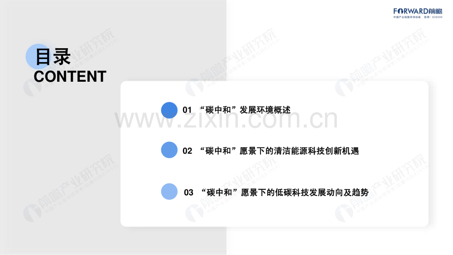 碳中和背景下的清洁能源科技创新机遇.pdf_第2页