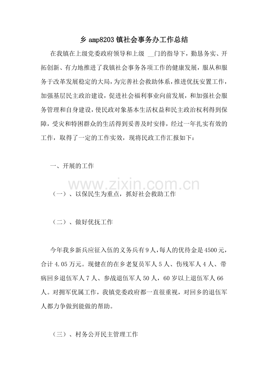 乡amp8203镇社会事务办工作总结.doc_第1页